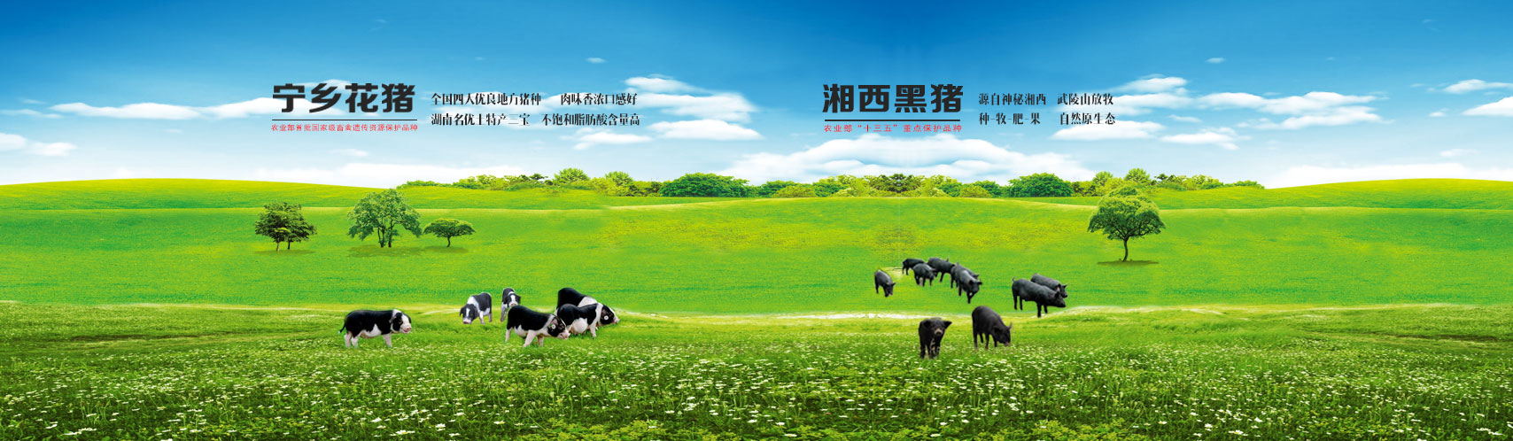 鑫禾国际游戏平台 - welcome